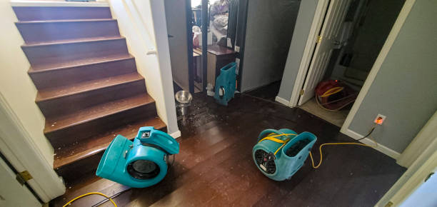 Best Local water damage restoration  in Muskegon, MI